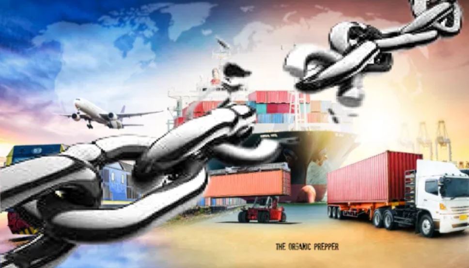 global supply global supply