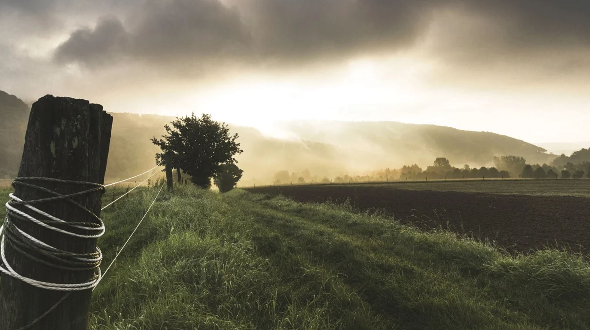 Land Deals Meant to Improve Food Security May Have Hurt