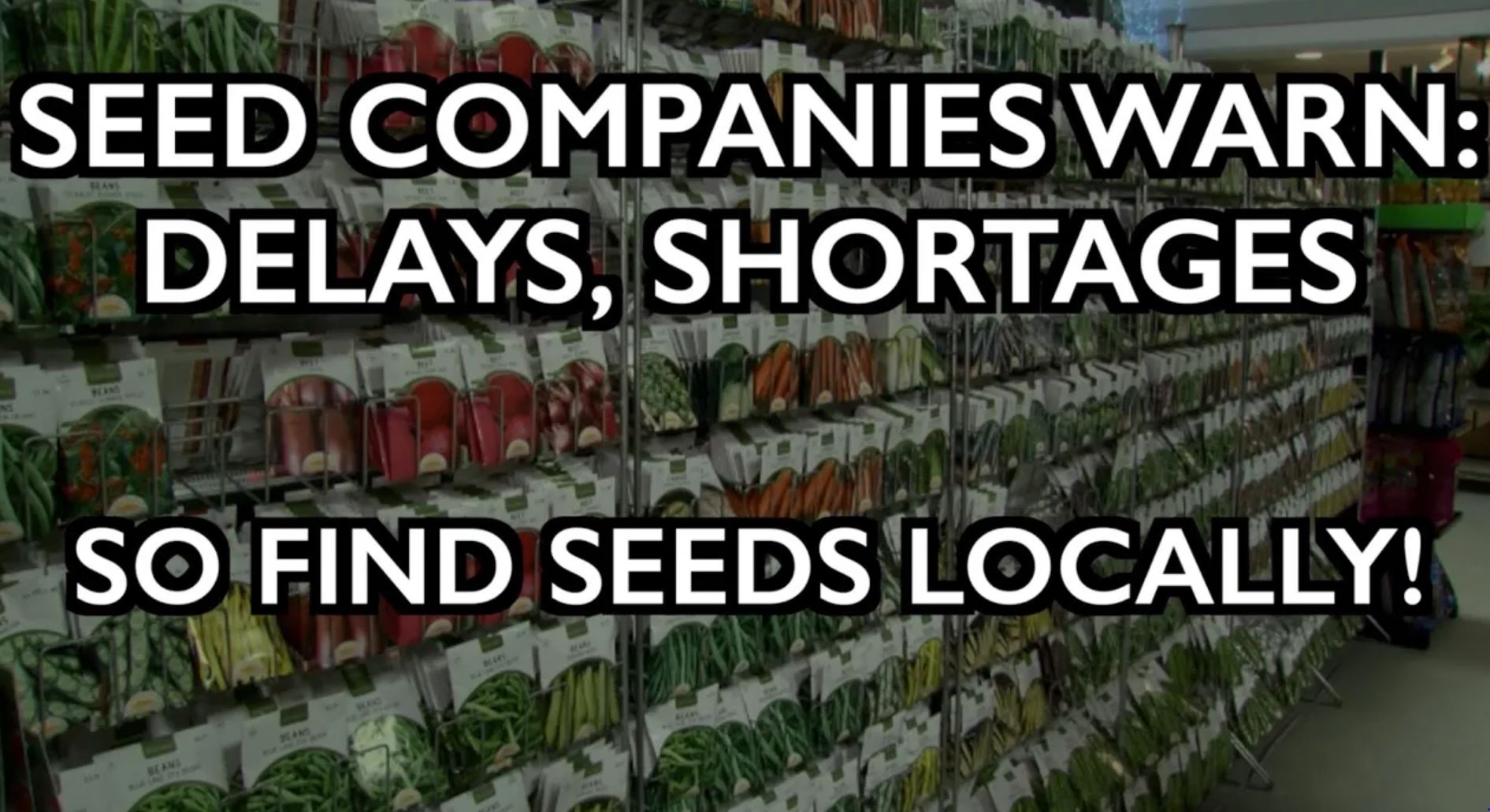 seed shortages iaf seed shortages iaf