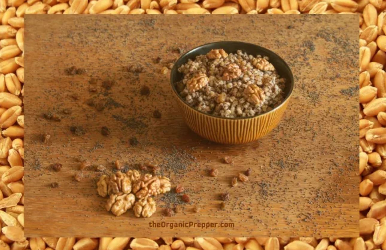 wheat berries