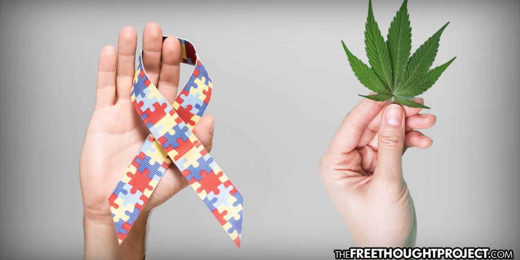cannabis-autism-1050x525