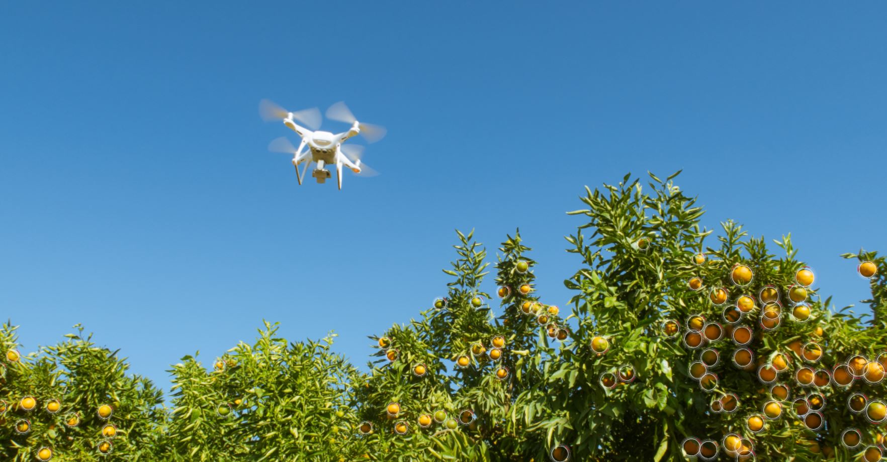 drone farming amazon