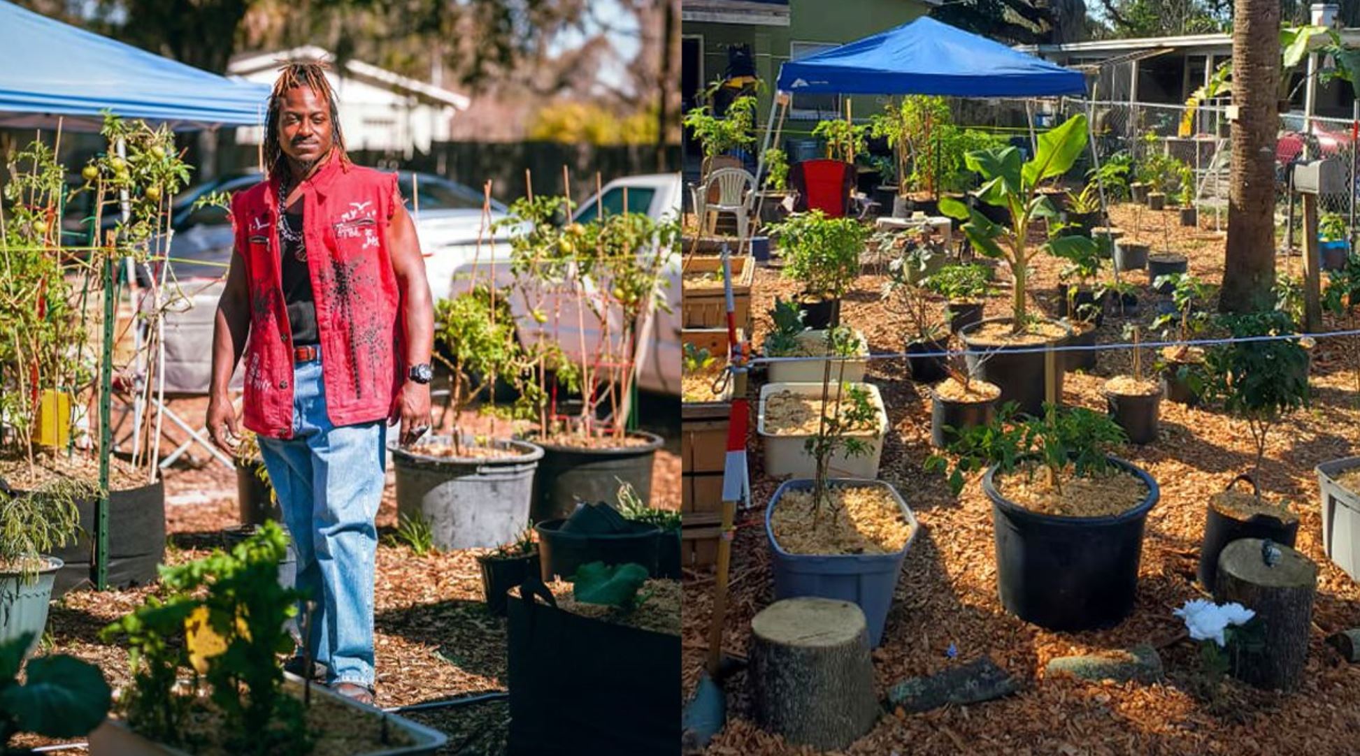 florida community garden tmu