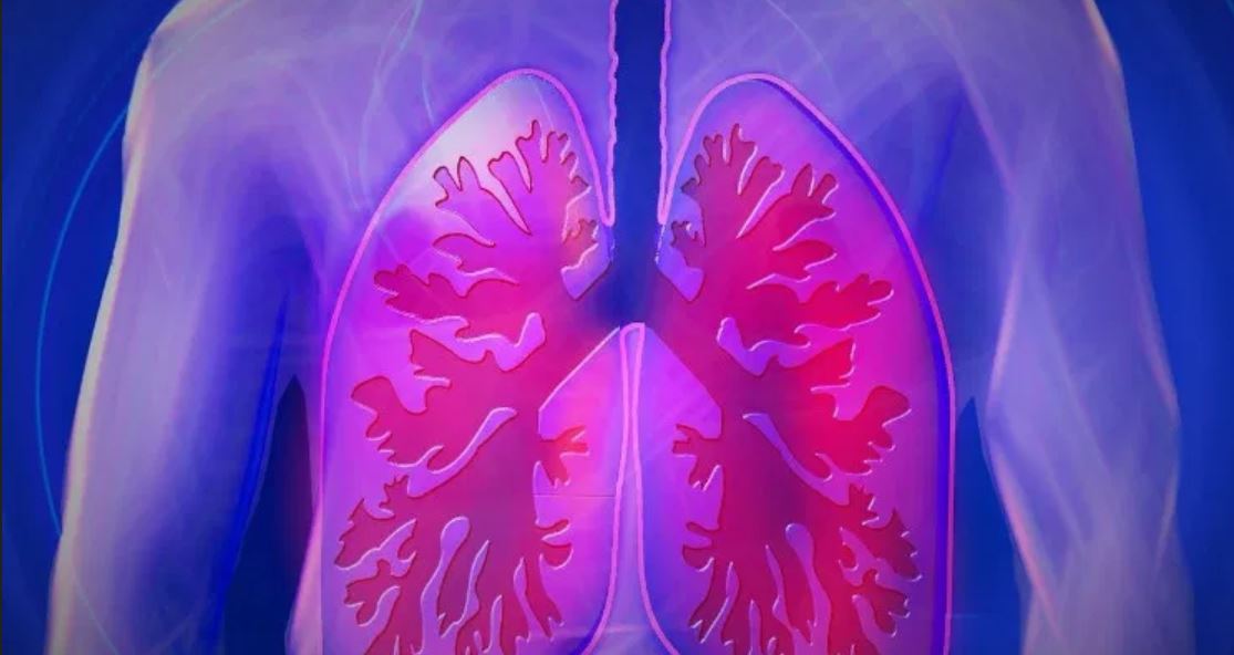 mask lung ps mask lung ps