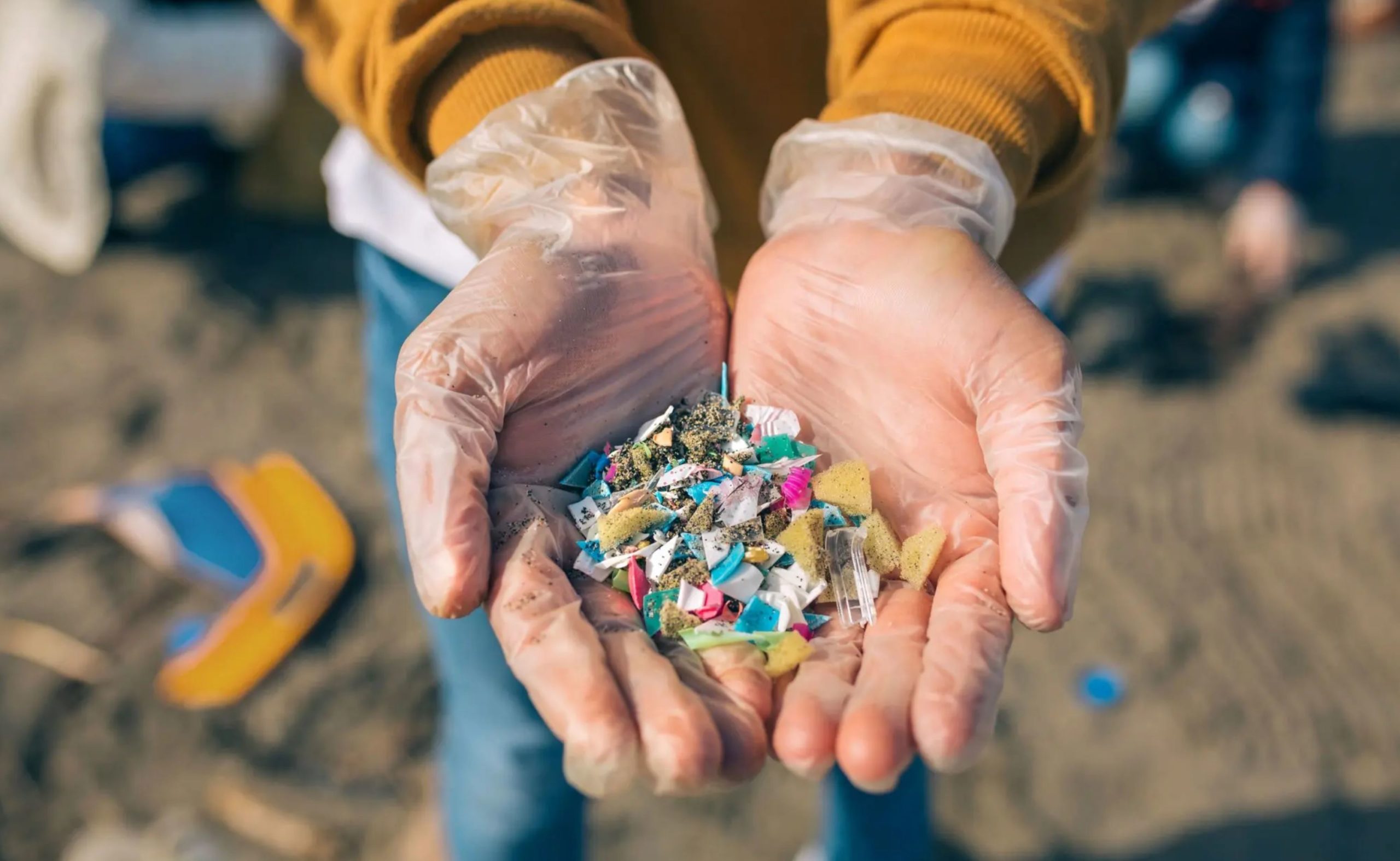 microplastic pol tt microplastic pol tt