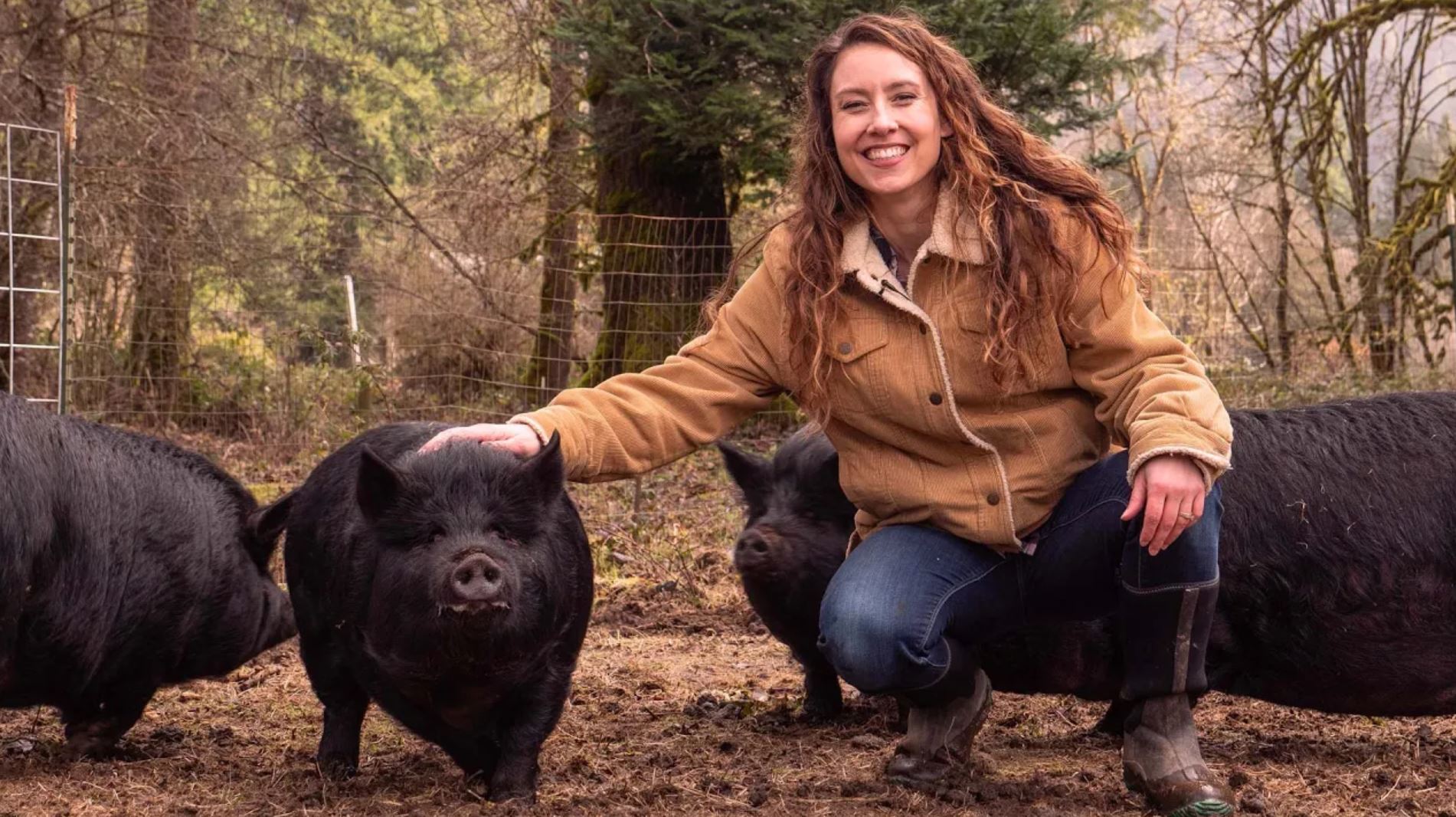 modern homesteading modern homesteading