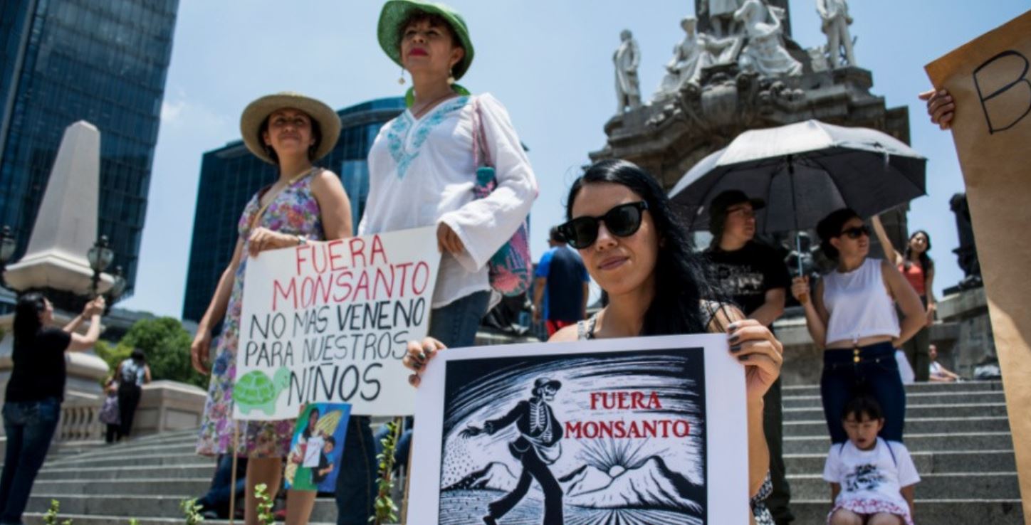 monsanto protest