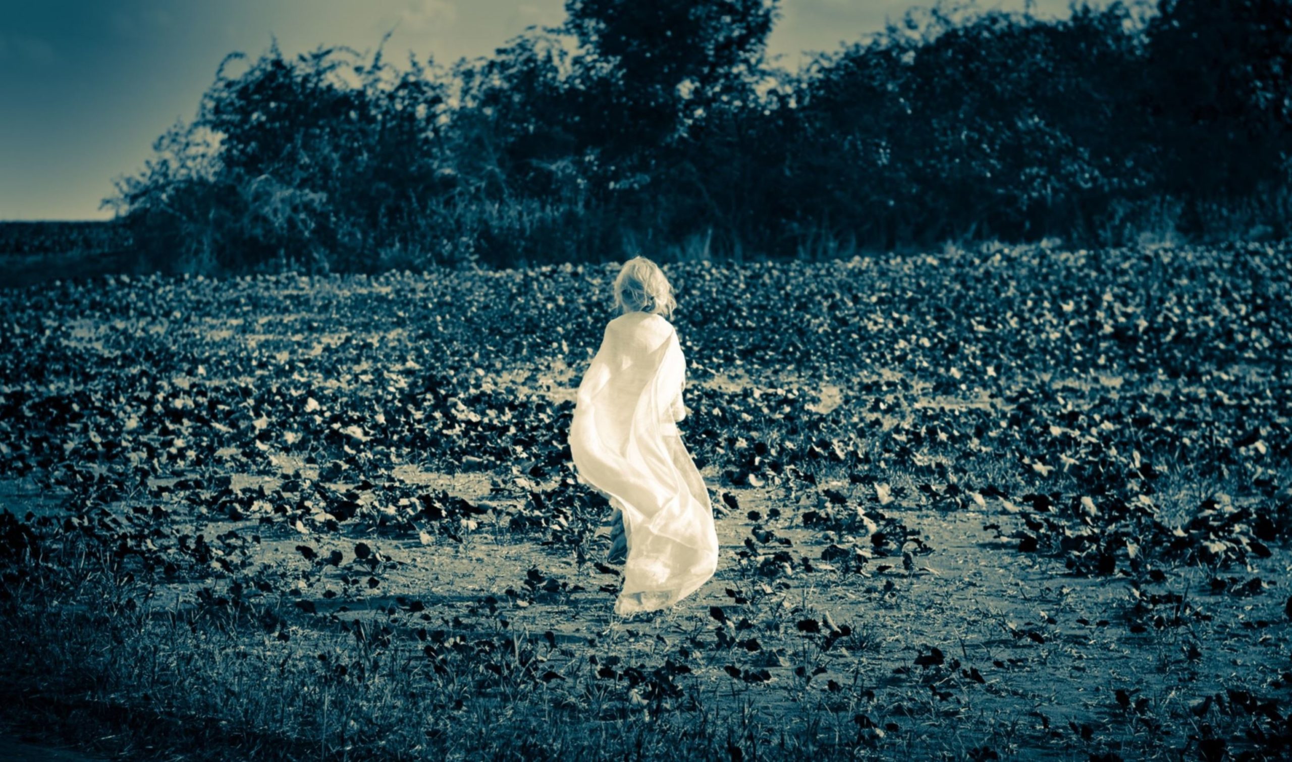 child suicides aier