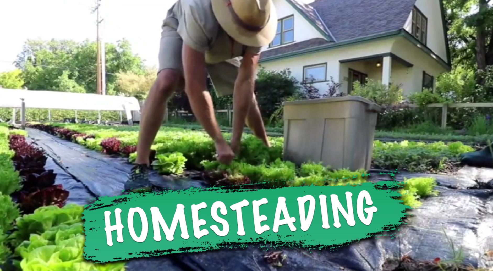 homesteading corbett homesteading corbett
