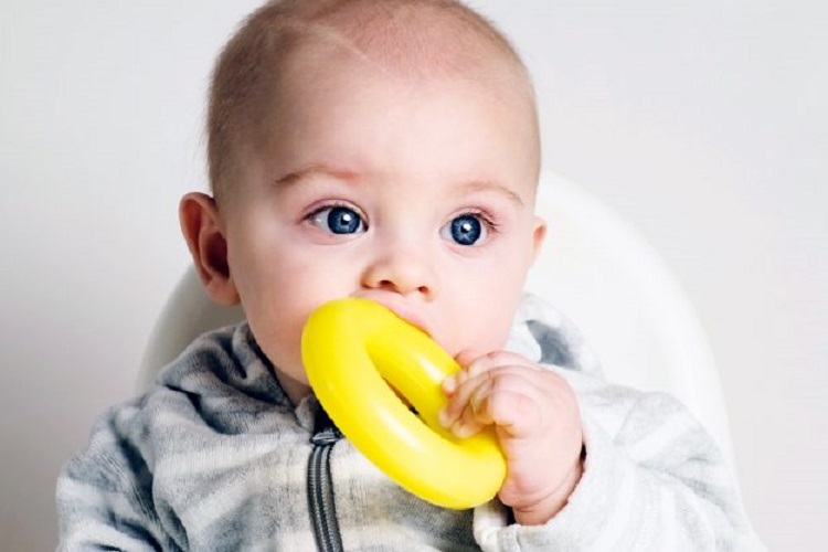 ortho-phthalates-babies-brains-feature-800x417-1