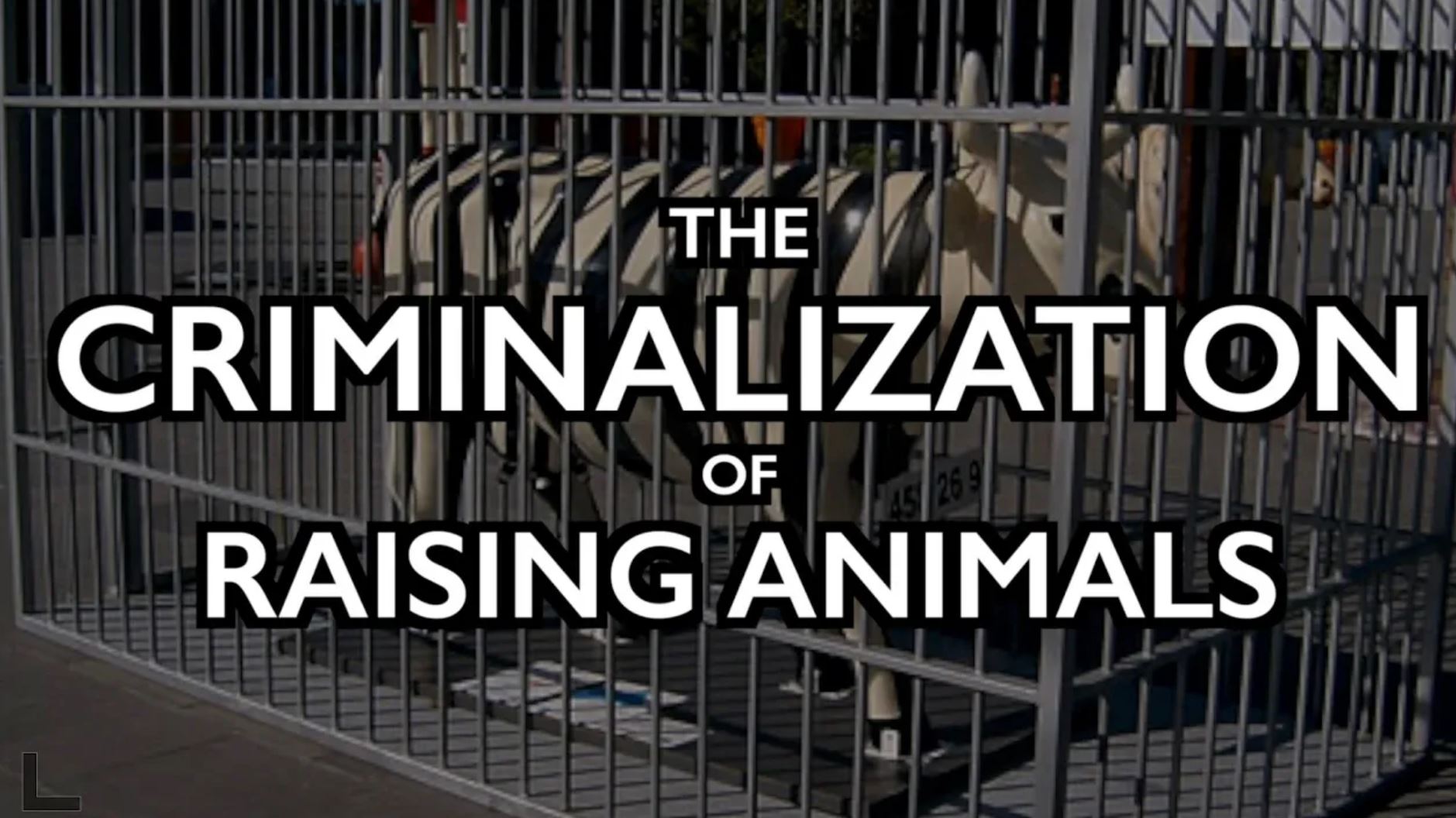 raising animals iaf raising animals iaf