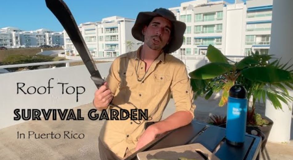 roof top garden db