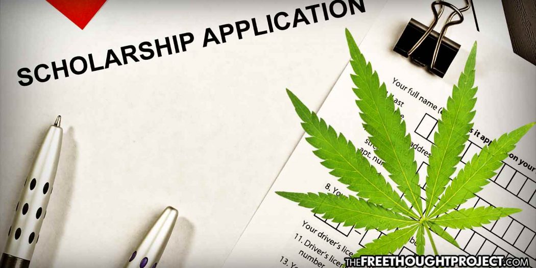 cannabis-scholarship-1050x525