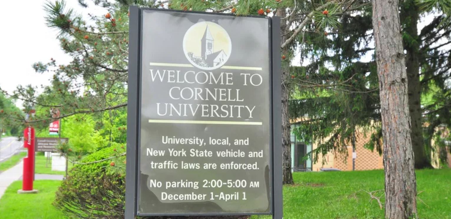 cornell cornell