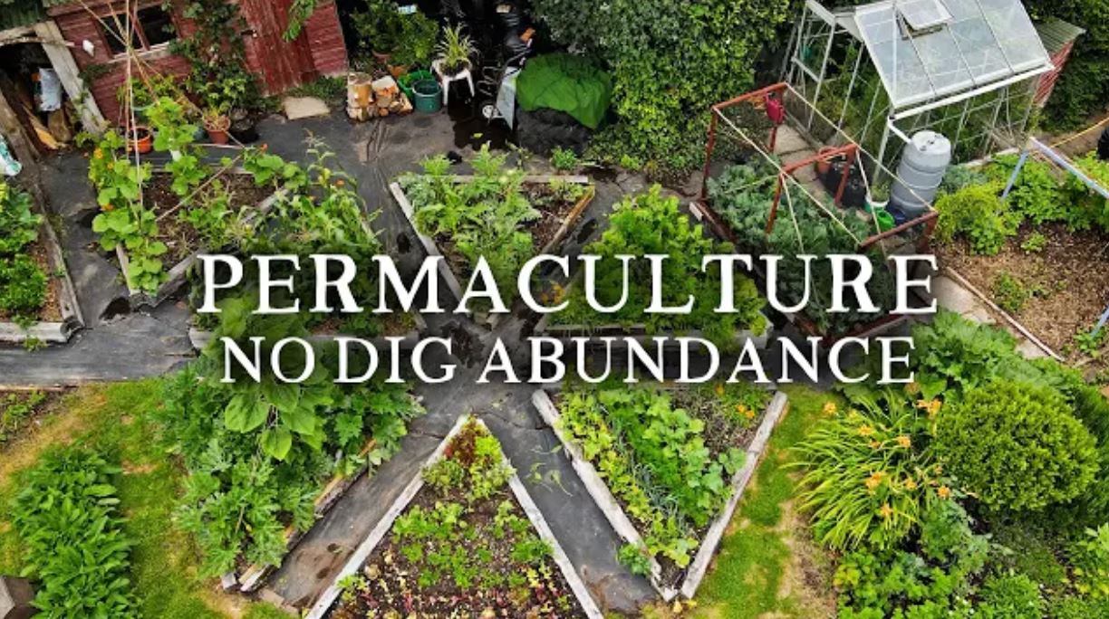 no dig permaculture