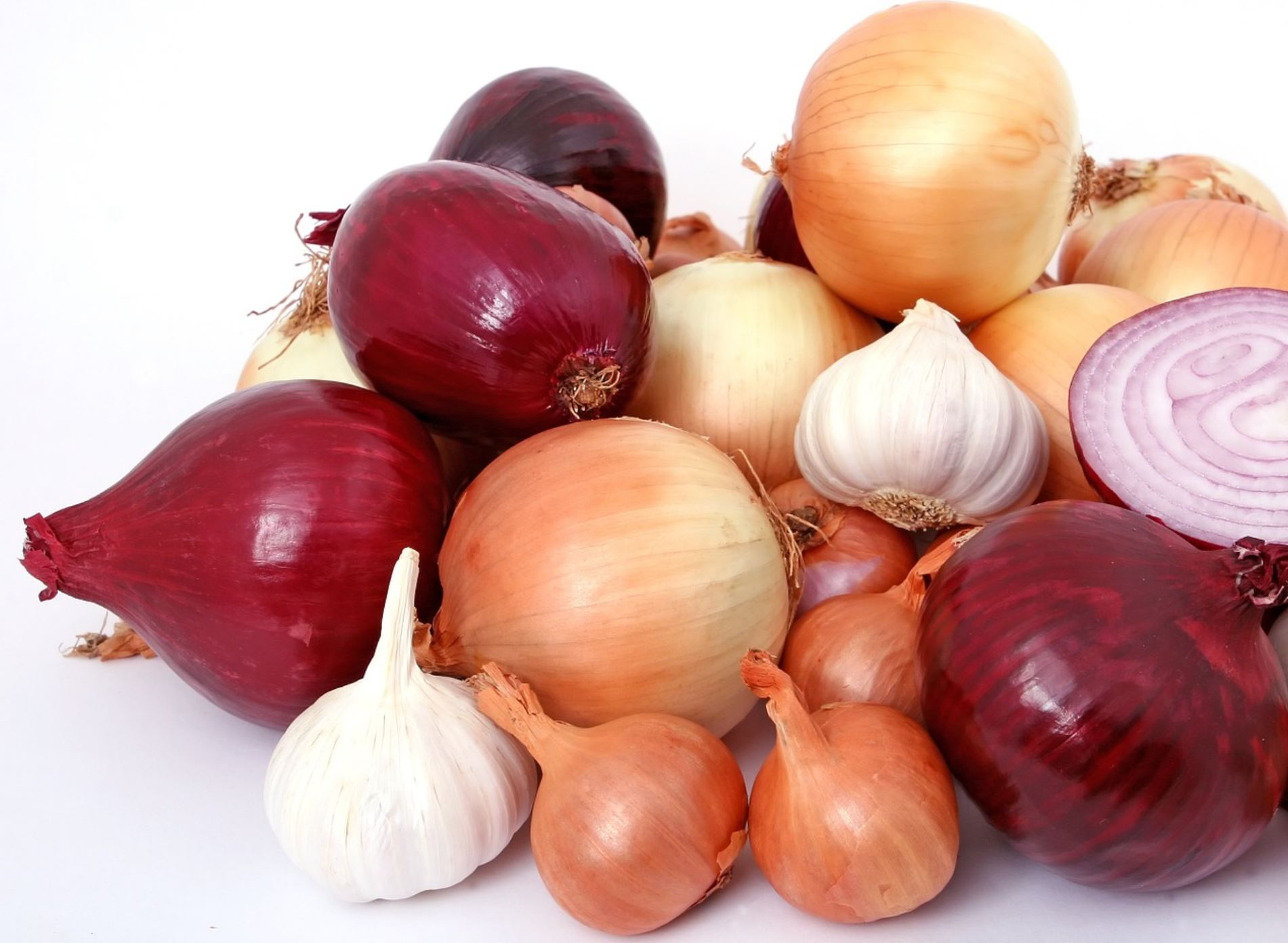 onions pix