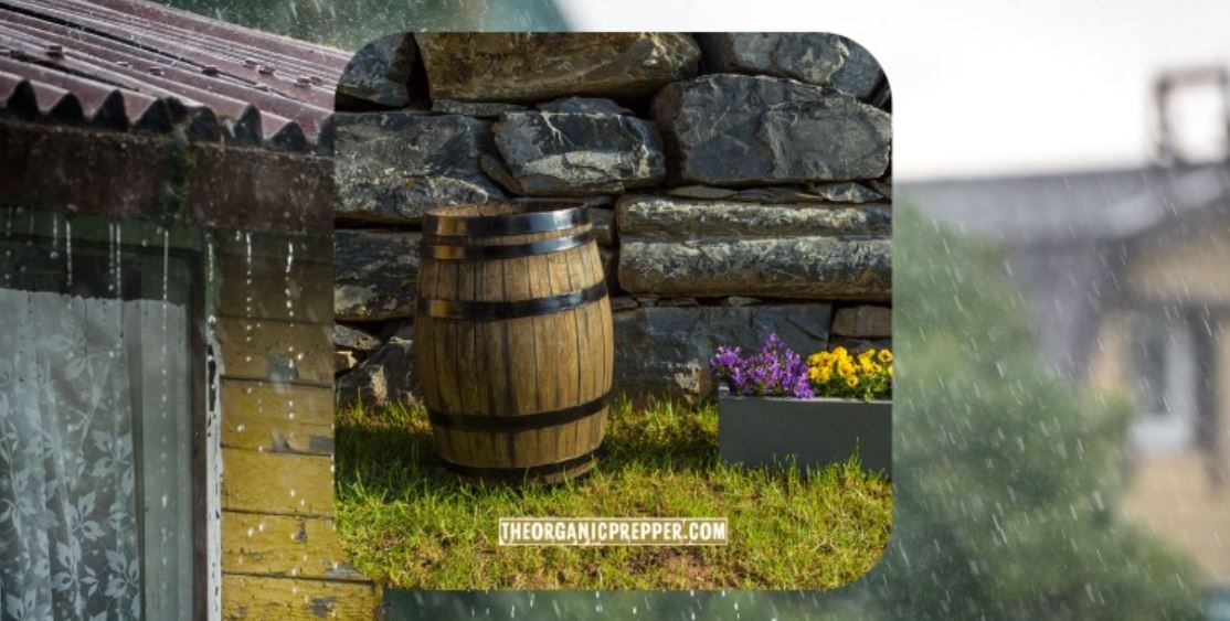rainwater collection