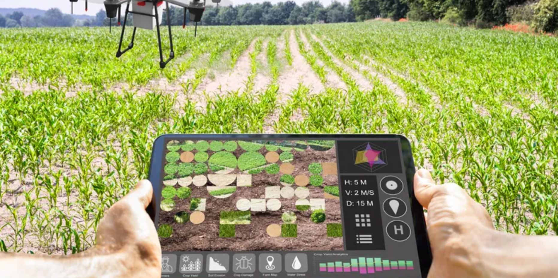 robot agriculture