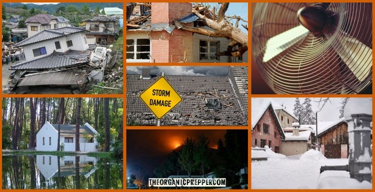 disaster home op disaster home op