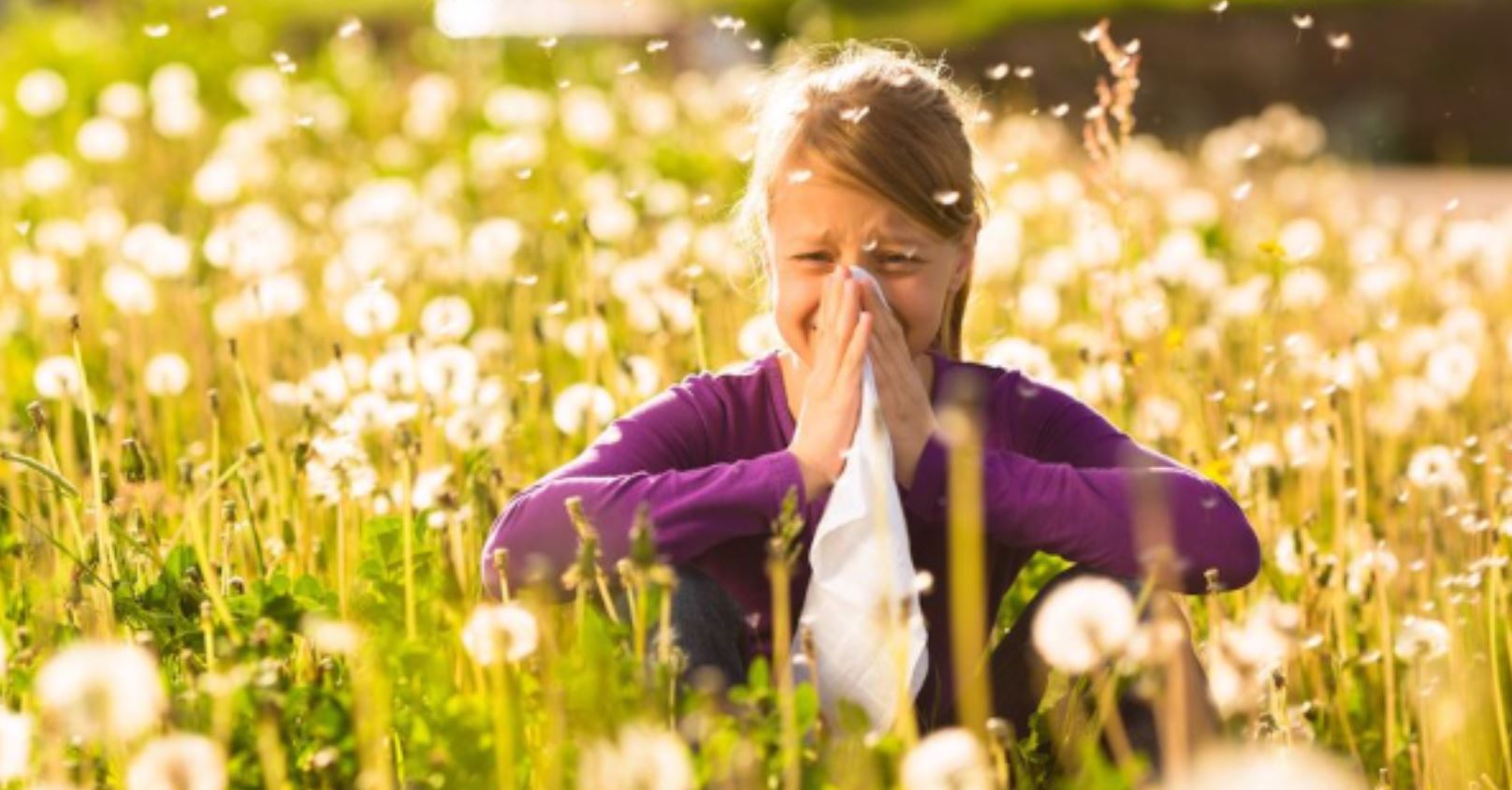 seasonal allergies gmi seasonal allergies gmi