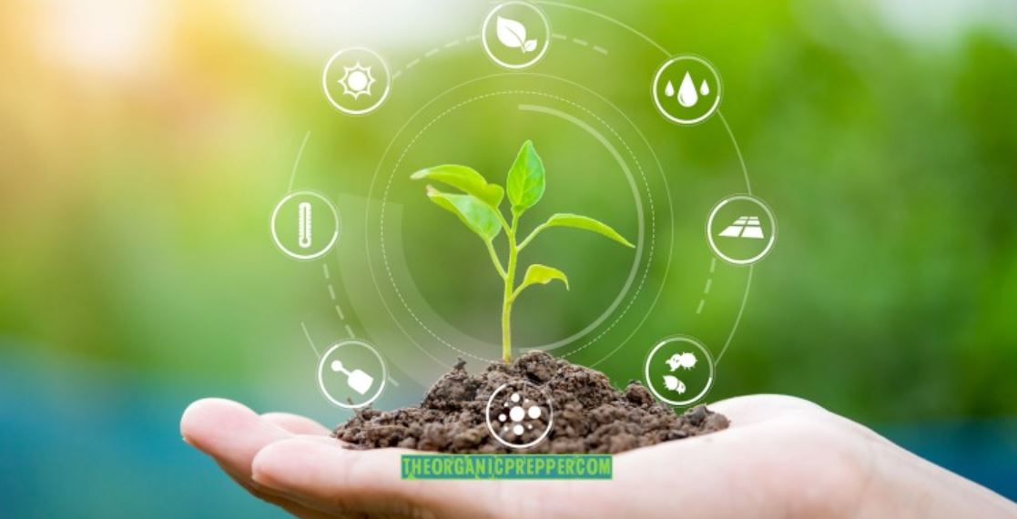 sustainable agriculture sustainable agriculture