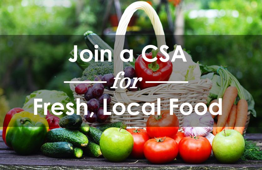 csa 1