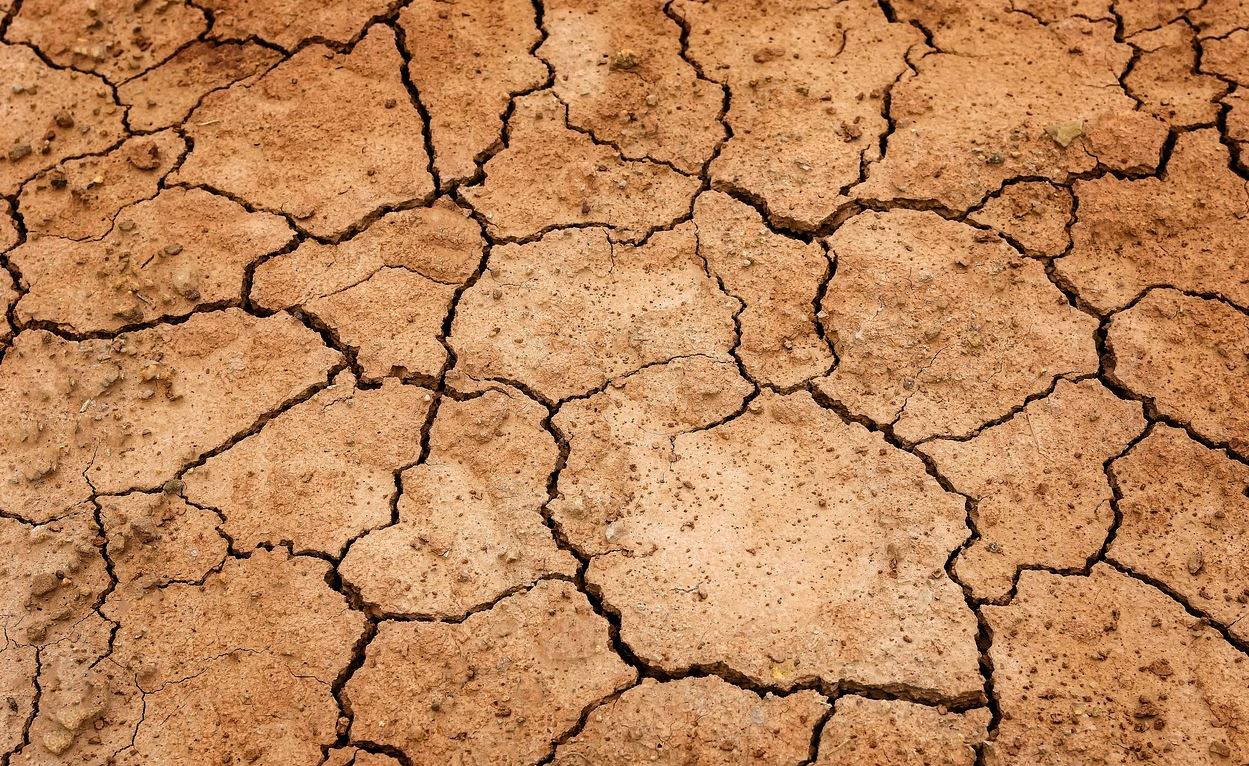 drought farm pix