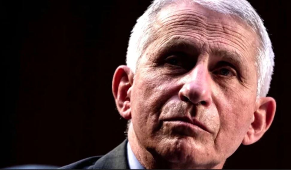 fauci under fire