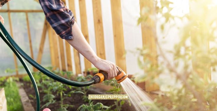 garden drought op garden drought op
