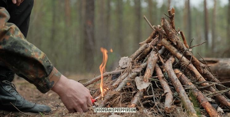 op survival skills op survival skills