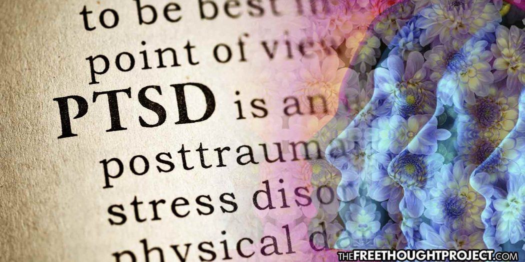 ptsd-vets-1050x525