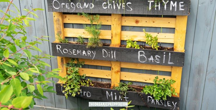 small space gardening op small space gardening op