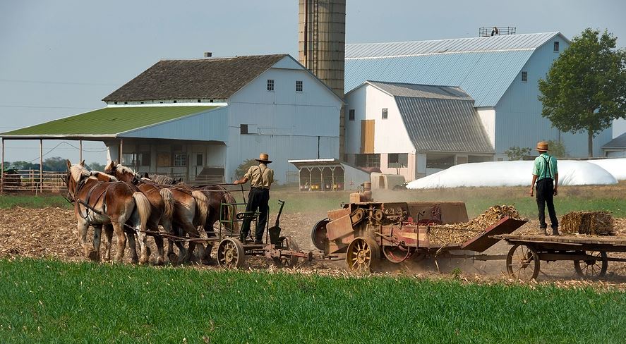 amish food control
