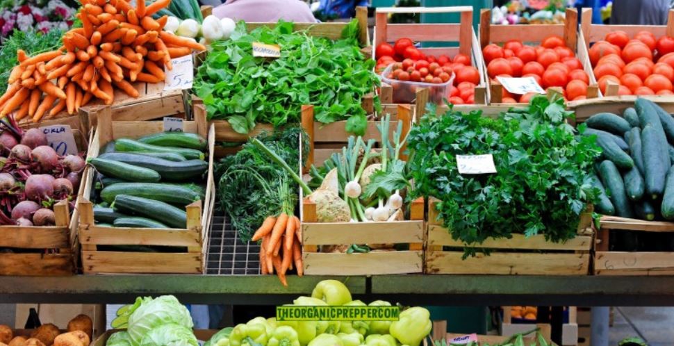 farmer market op farmer market op