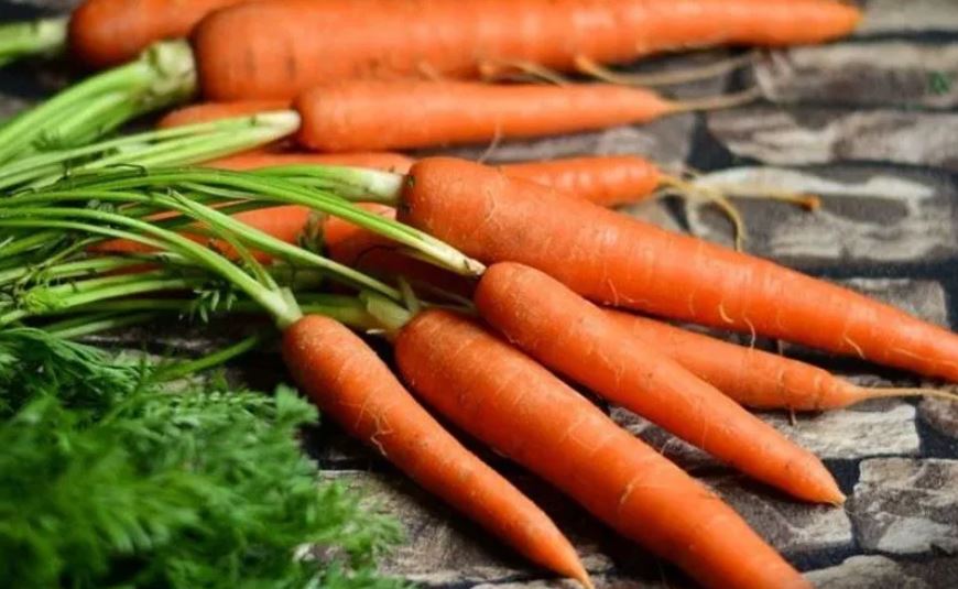 grow carrots ev grow carrots ev