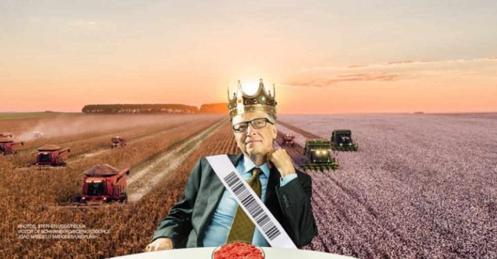 king bill king bill