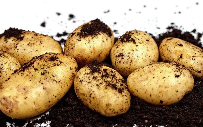 potatoes cap