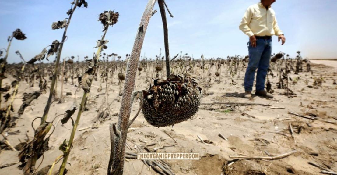 agriculture op drought