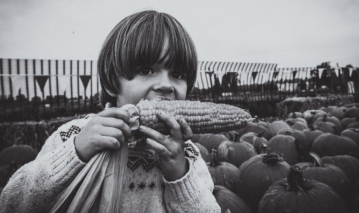 child health pesticides pix child health pesticides pix