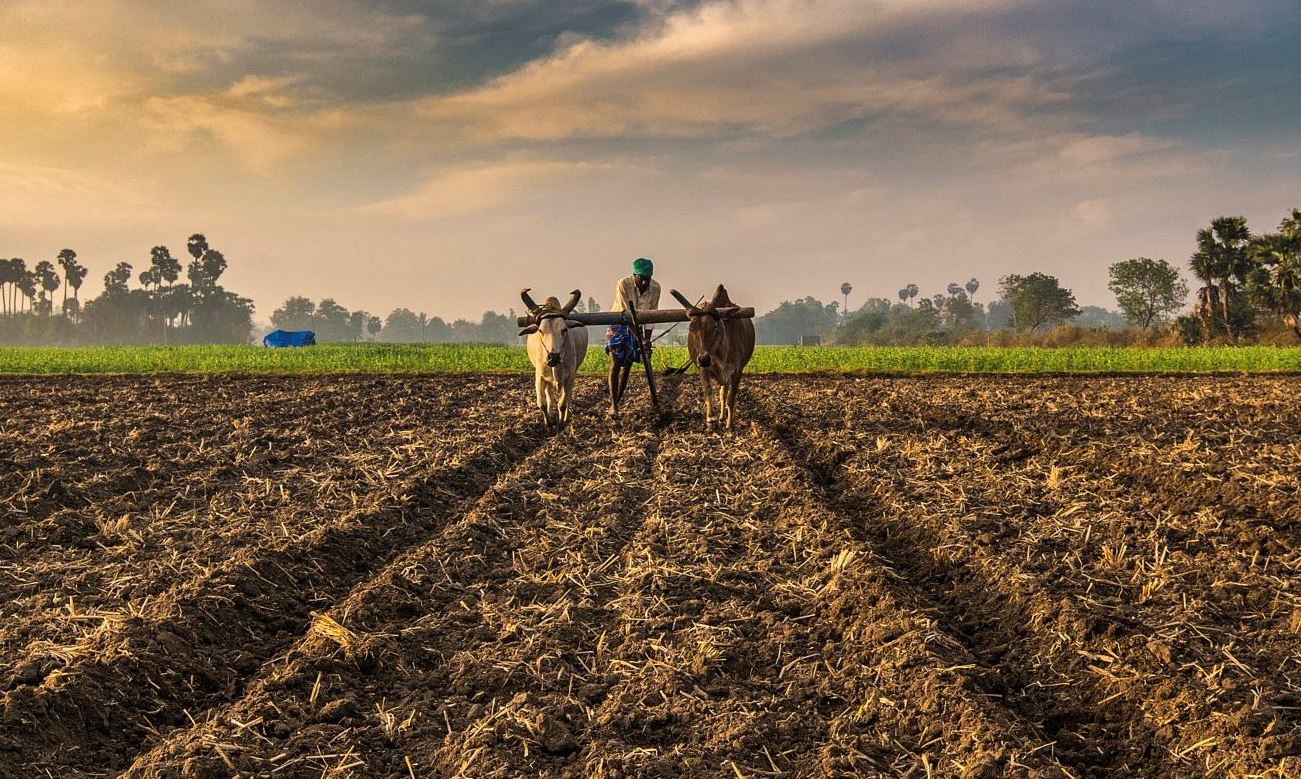 farming shortages electro