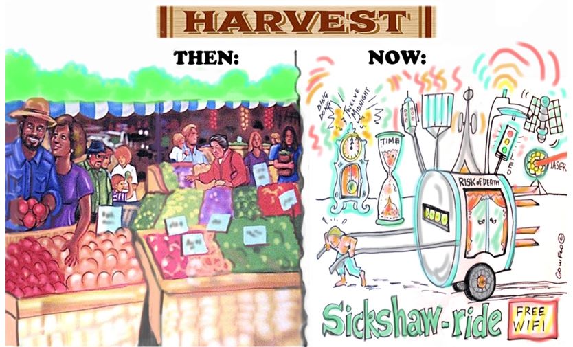 harvest wifi flo freshman