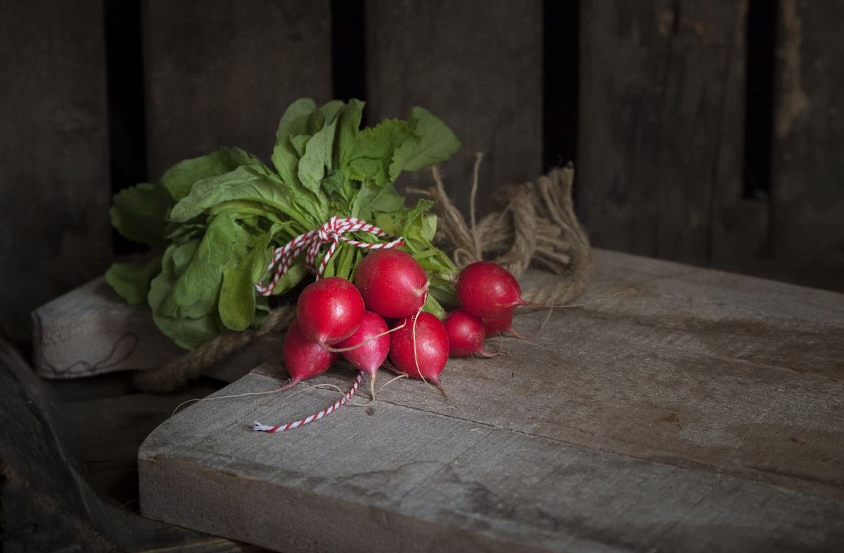radish pix