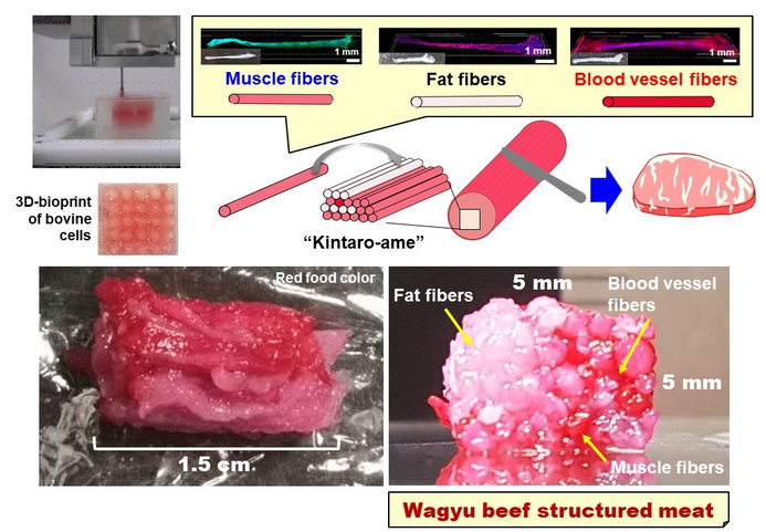 3d printed beef zh