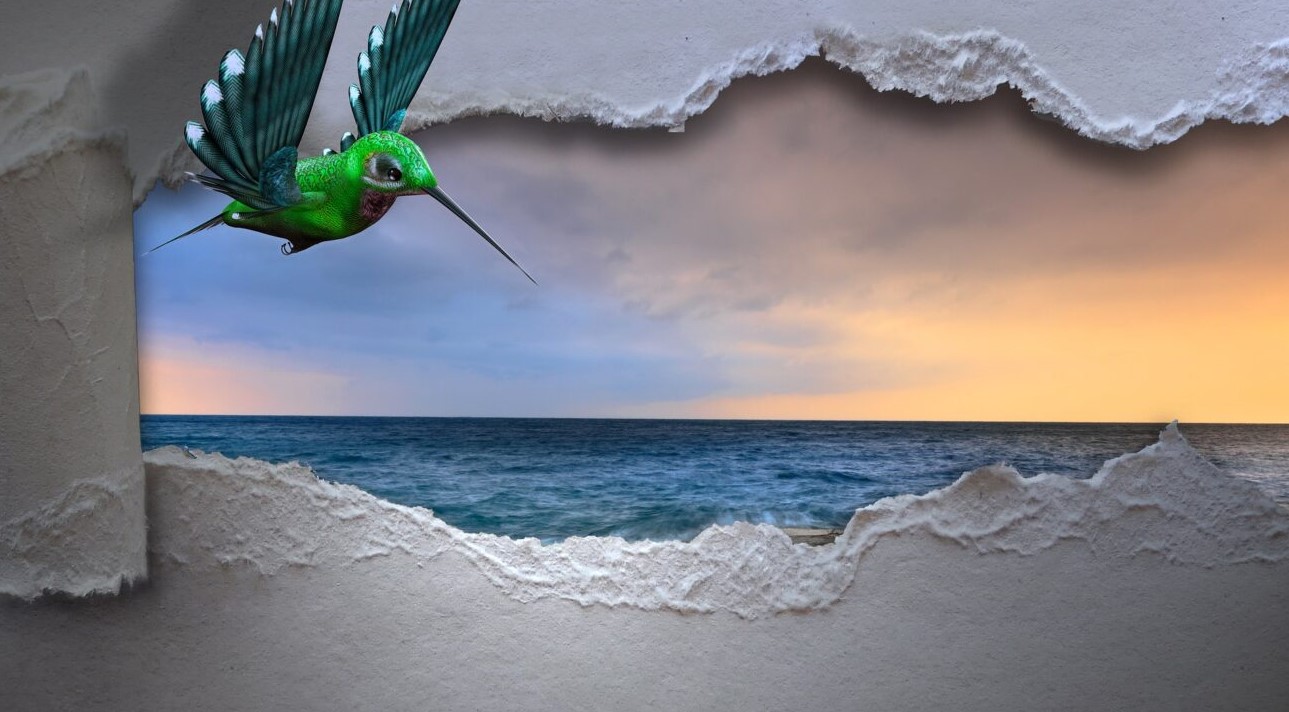 bird beach bird beach