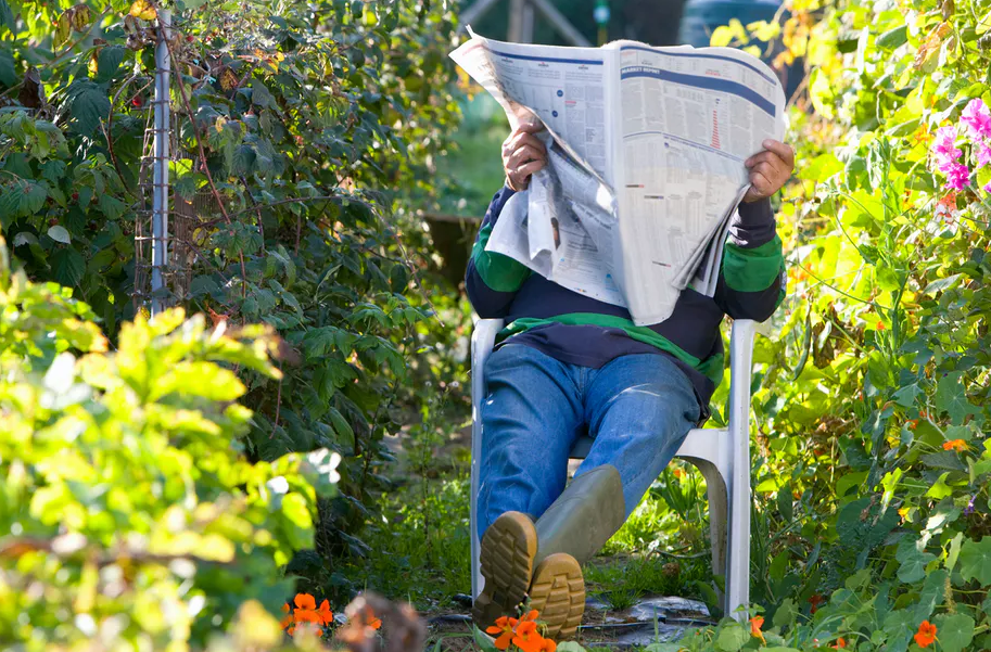 garden reading conversation