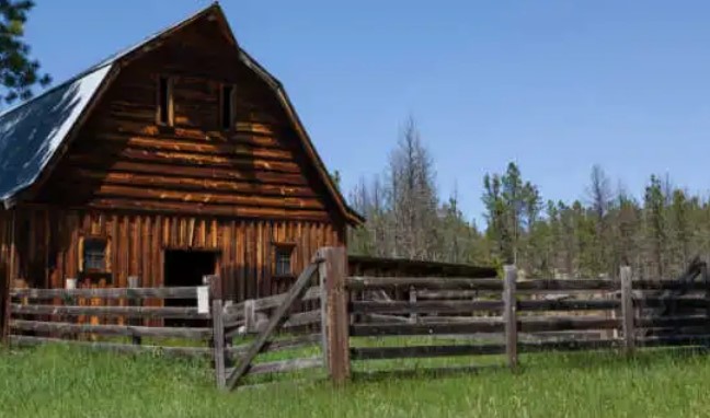 homesteading rn