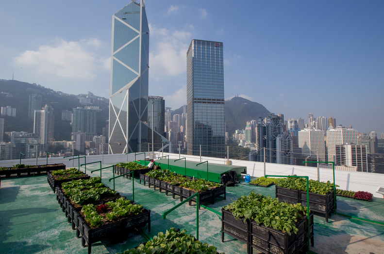 hong kong rooftop prc