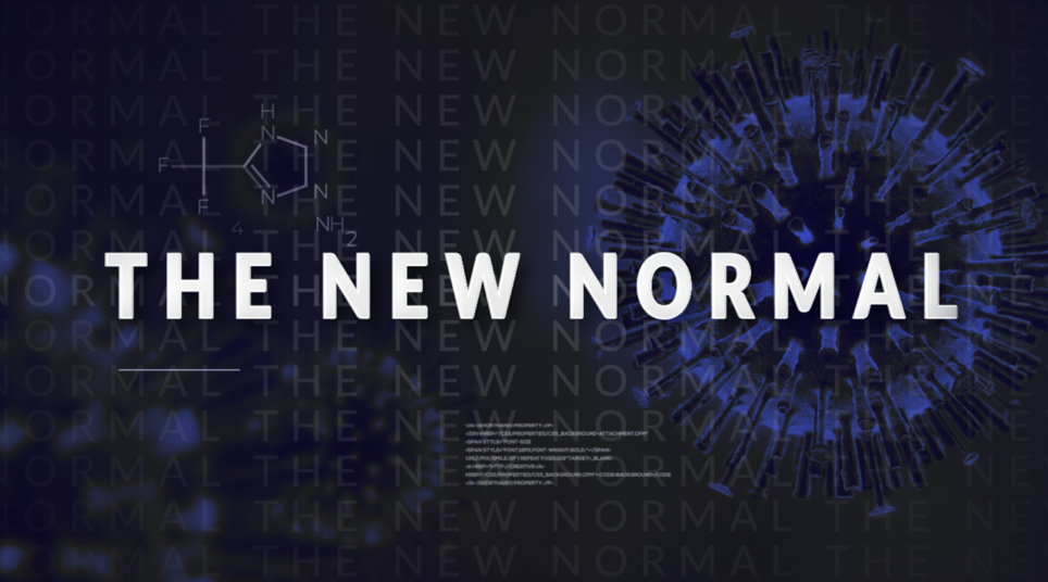 new normal new normal