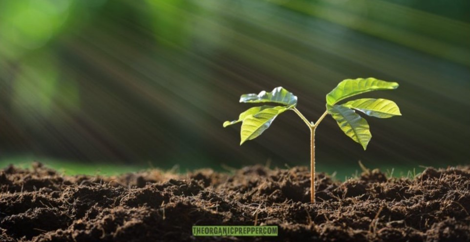 soil health op