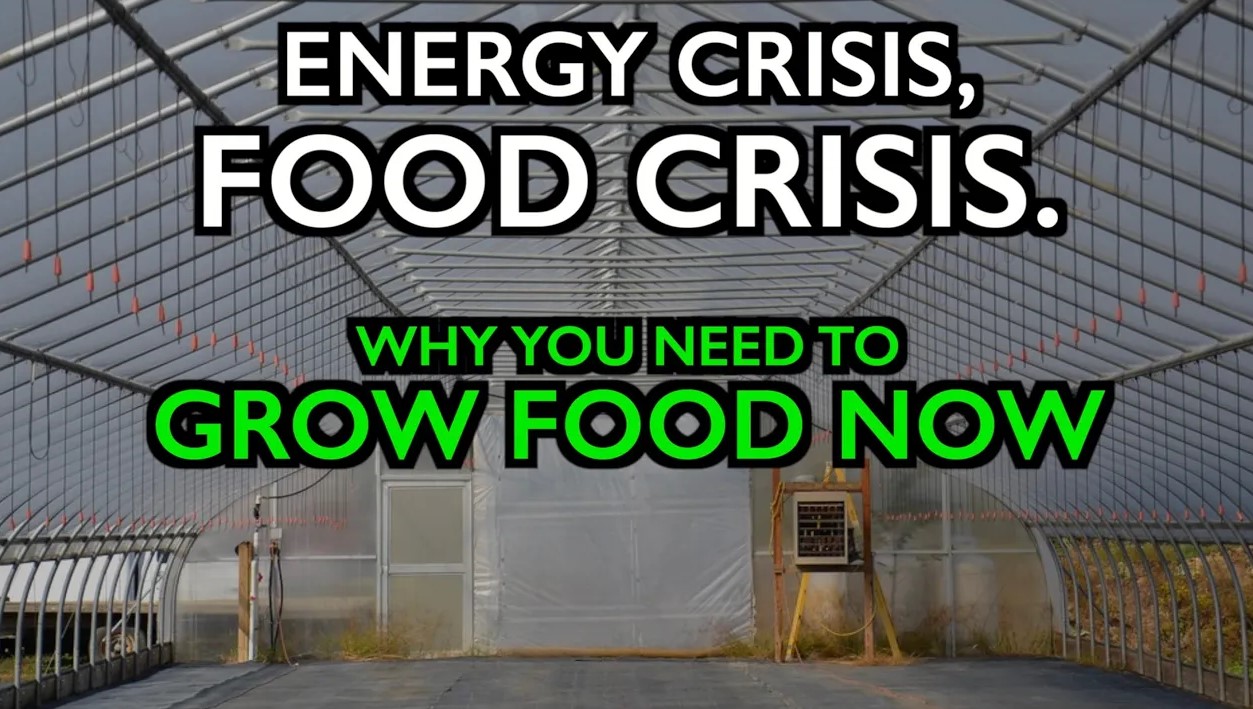 energy food crisis